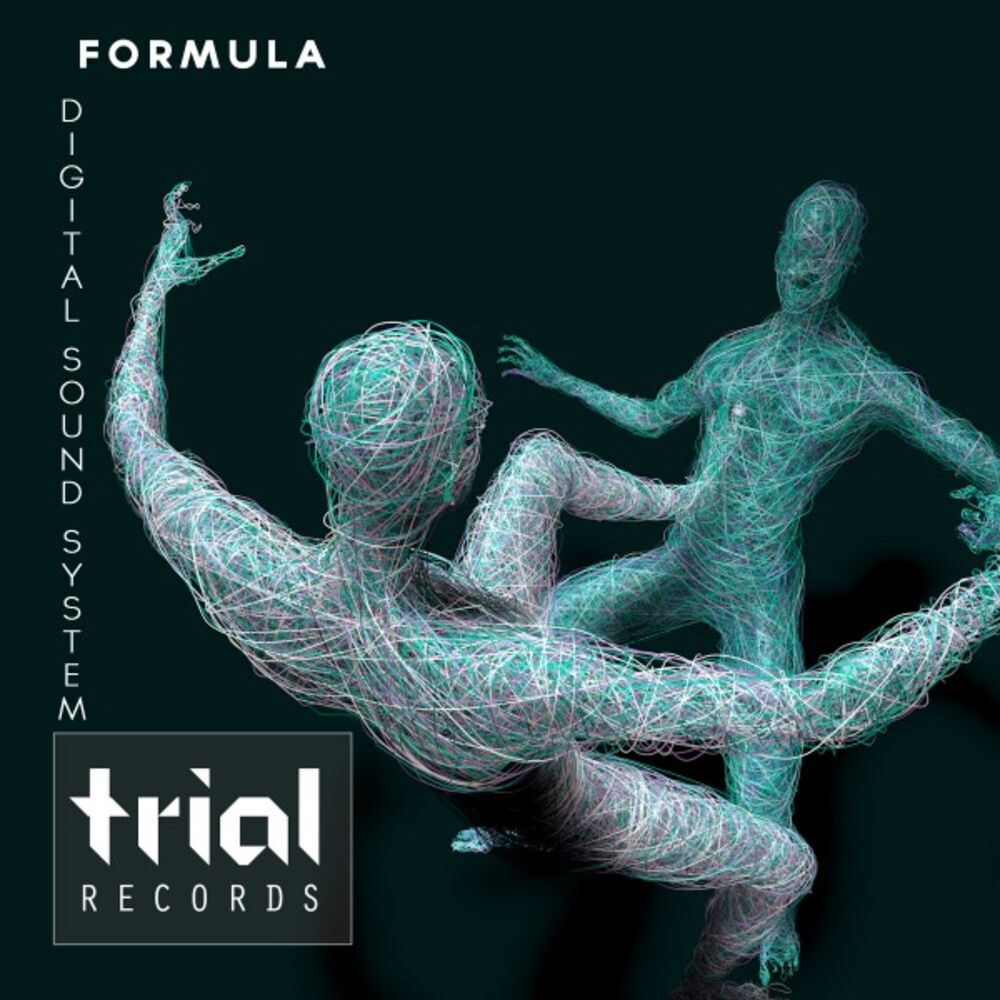 Picture of Formula
