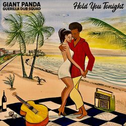 Cover of Hold You Tonight