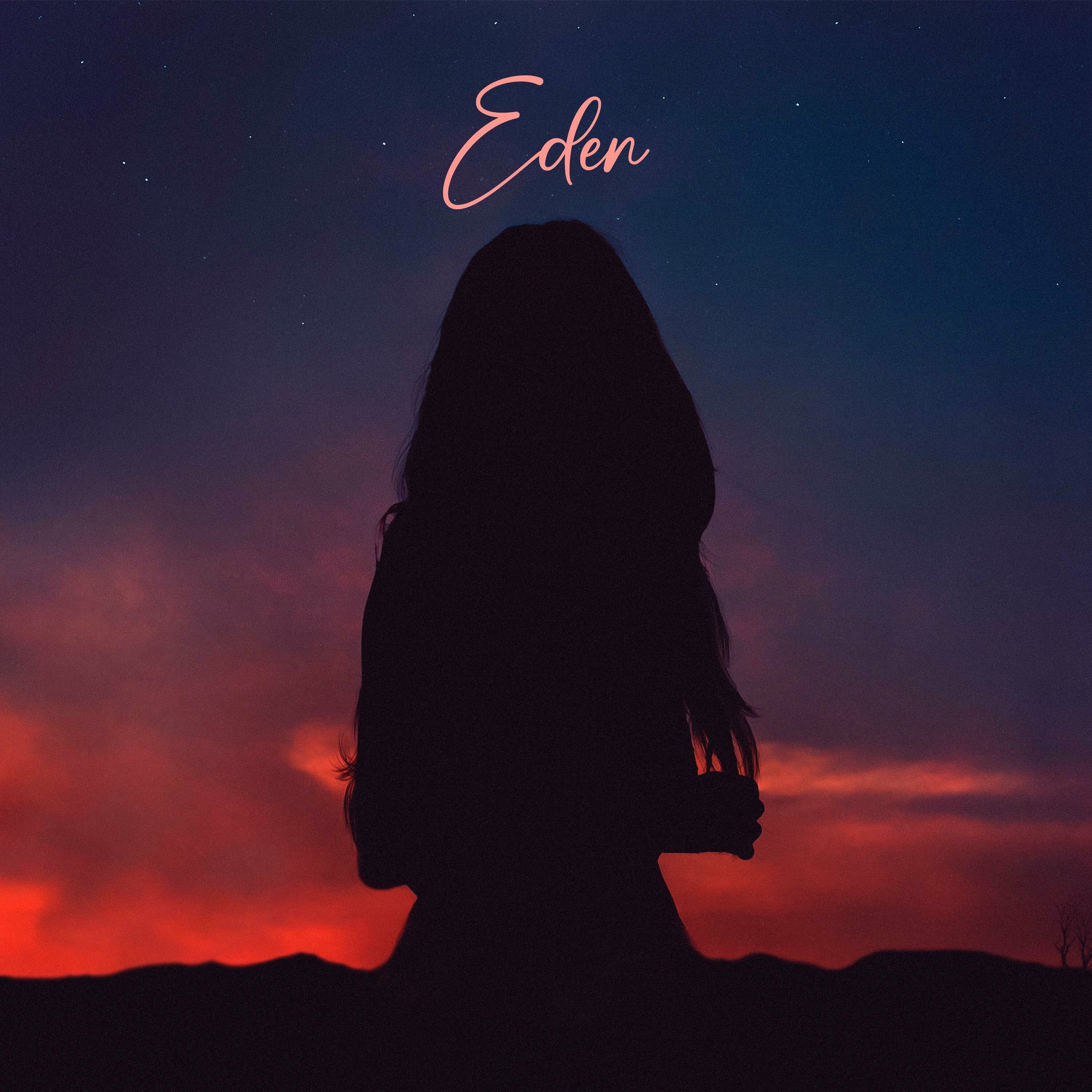 Album cover of Eden