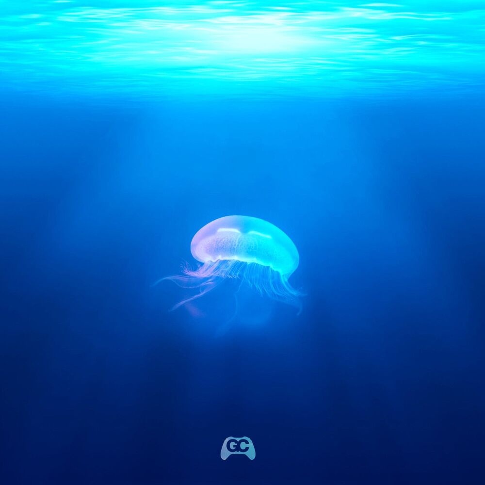 Picture of Aquatic Ambiance