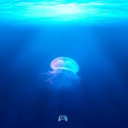 Cover of Aquatic Ambiance
