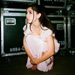 Cover of Show Up