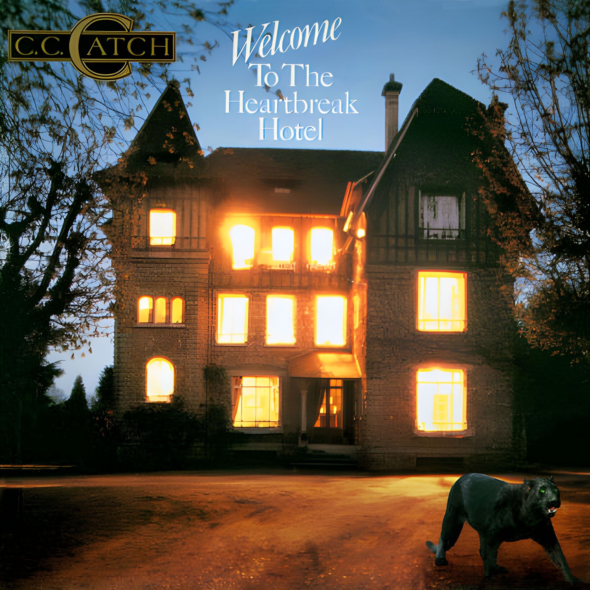 Album cover of Welcome To The Heartbreak Hotel