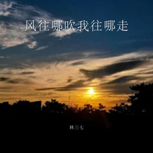 风往哪吹我往哪走