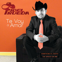 Cover of Te Voy A Amar
