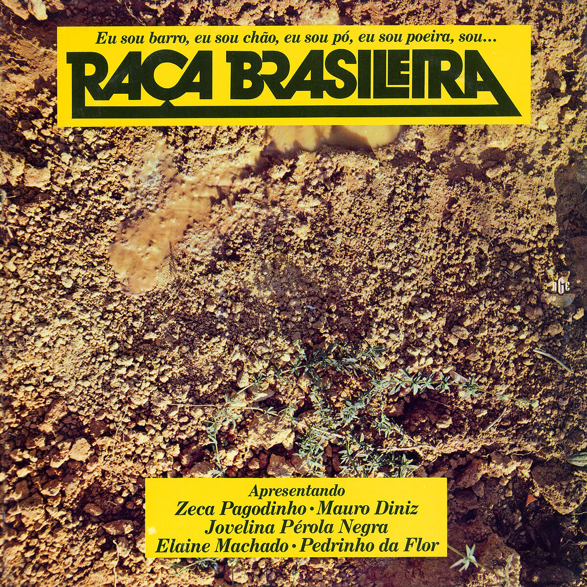 Album cover of Feirinha da Pavuna (Confusão de Legumes)