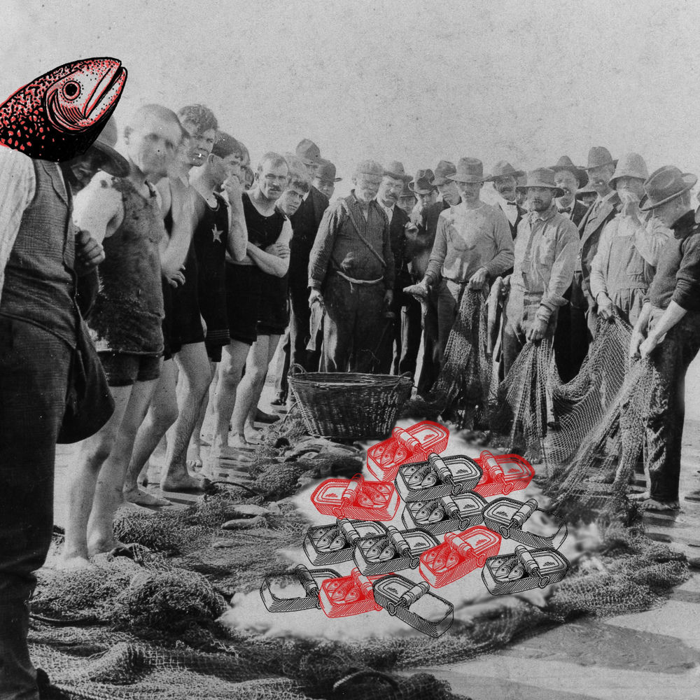 Cover du titre Ribe su na brodu