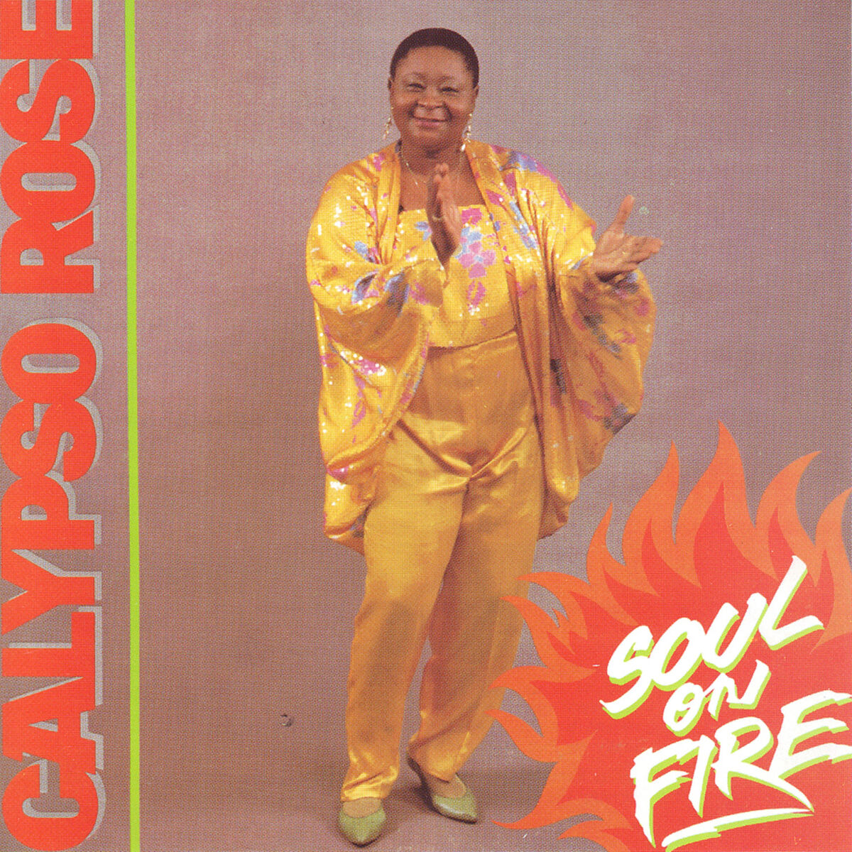 Album cover of Soul on Fire