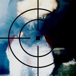 Cover of Shot