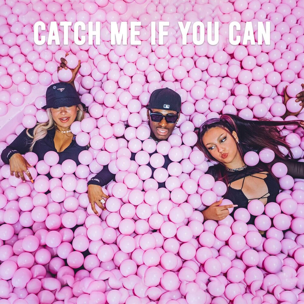 Picture of Catch Me If You Can