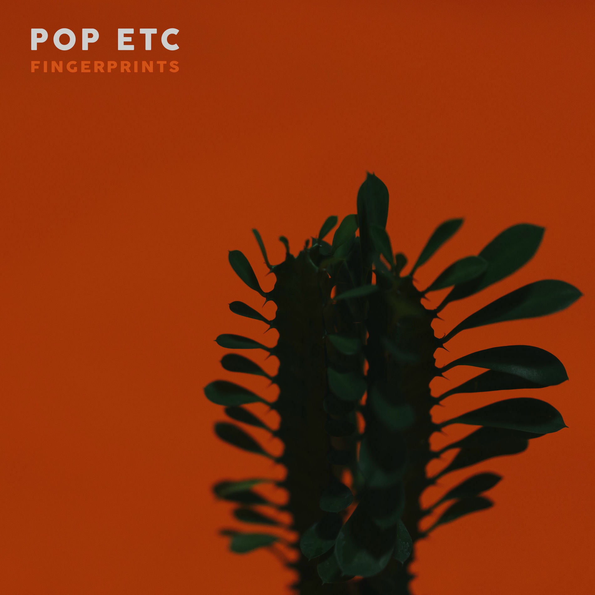 Album cover of Fingerprints