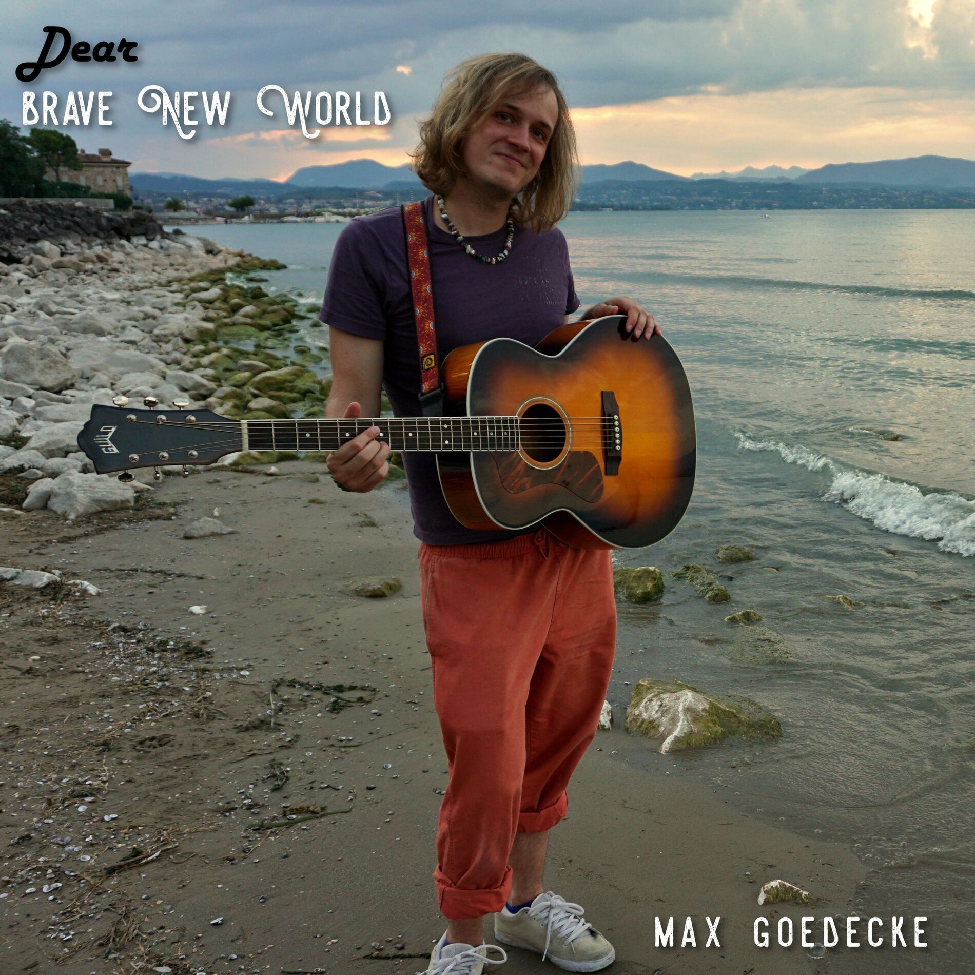 Album cover of Dear Brave New World