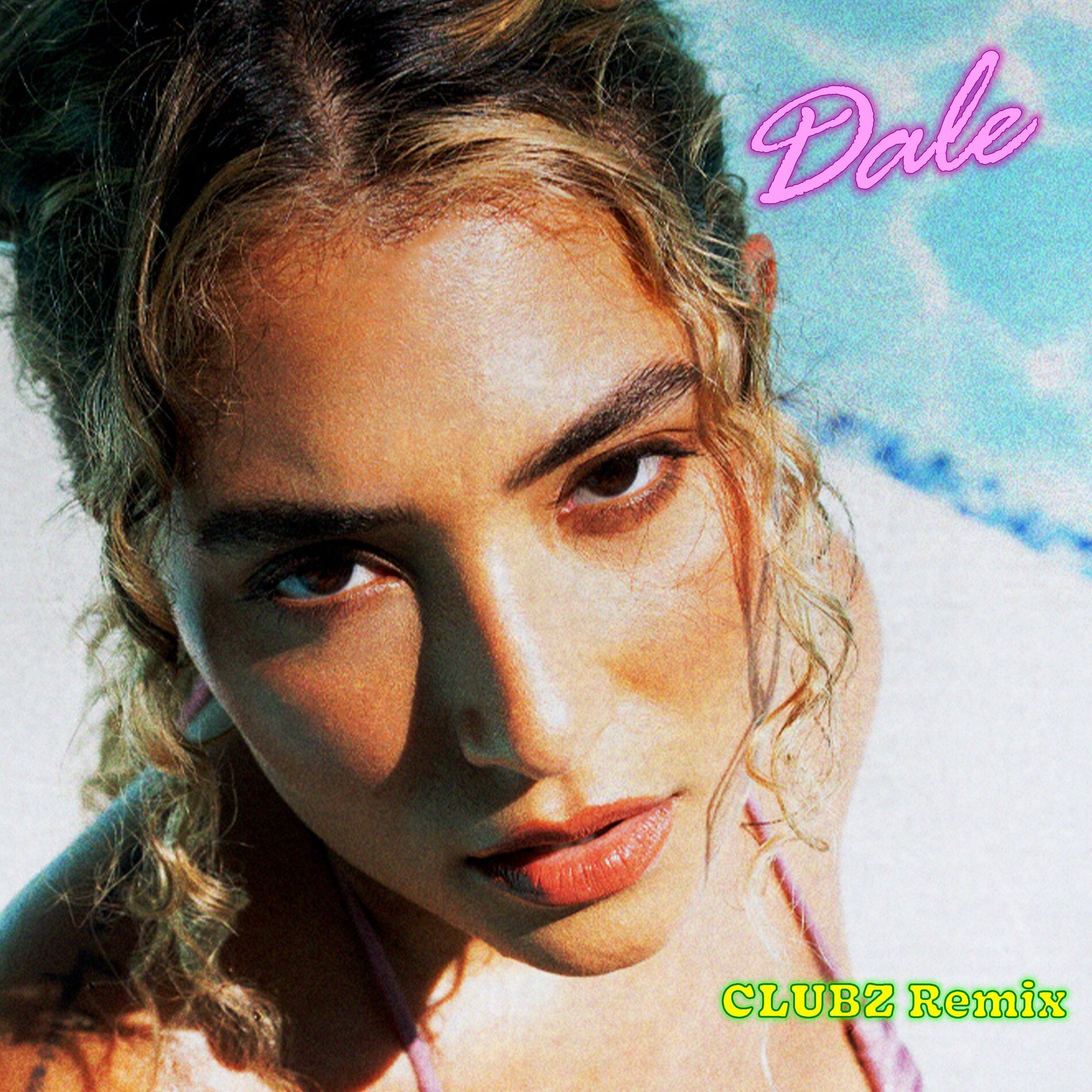 Album cover of Dale