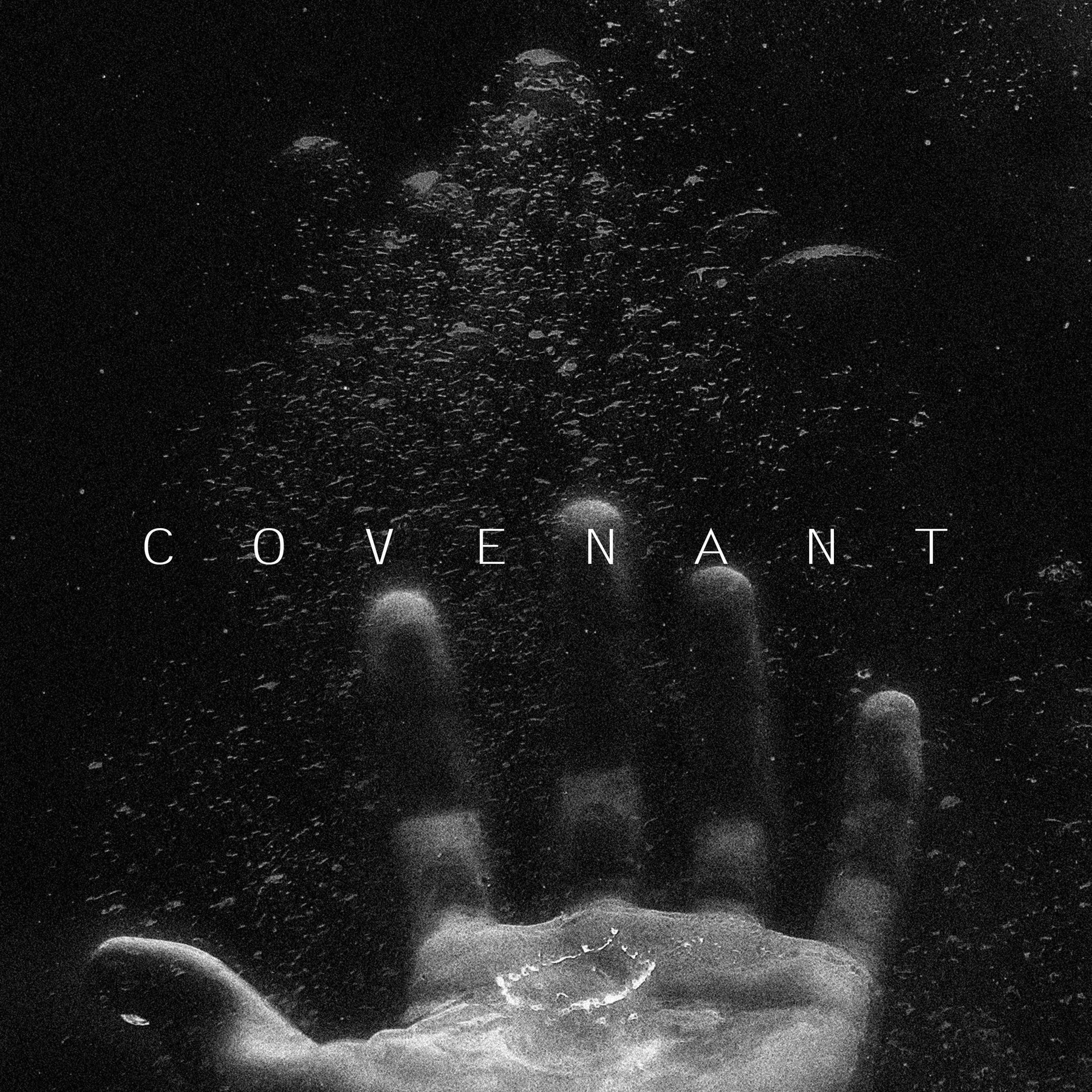 Album cover of Covenant