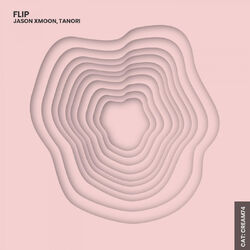 Cover of Flip