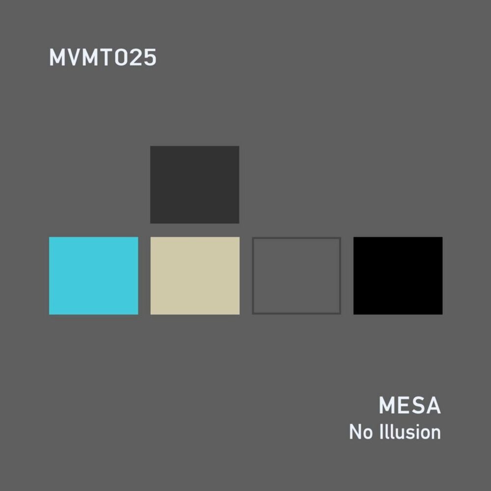 Picture of No Illusion