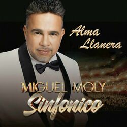 Cover of Alma Llanera (Sinfónico)