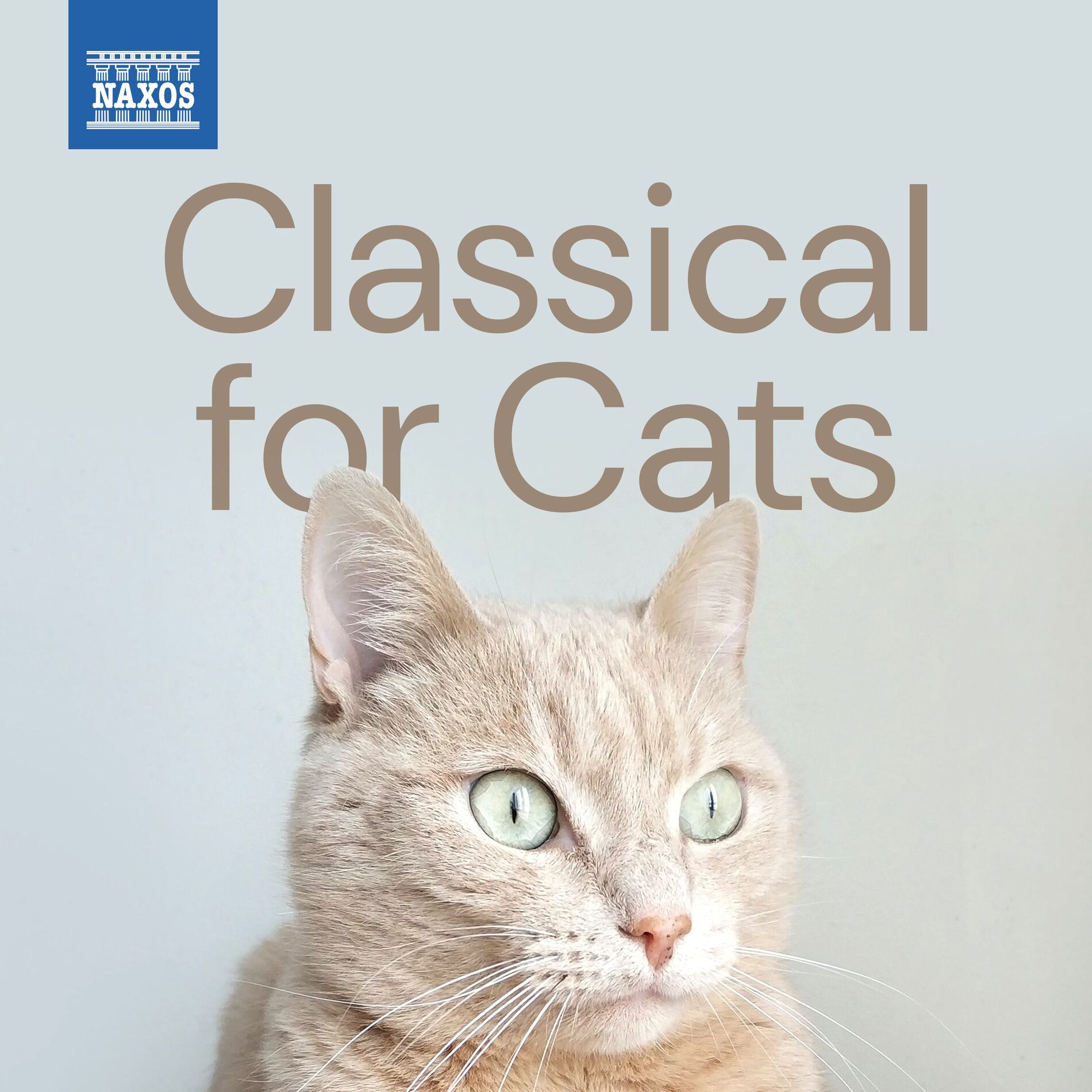 Album cover of Classical for Cats