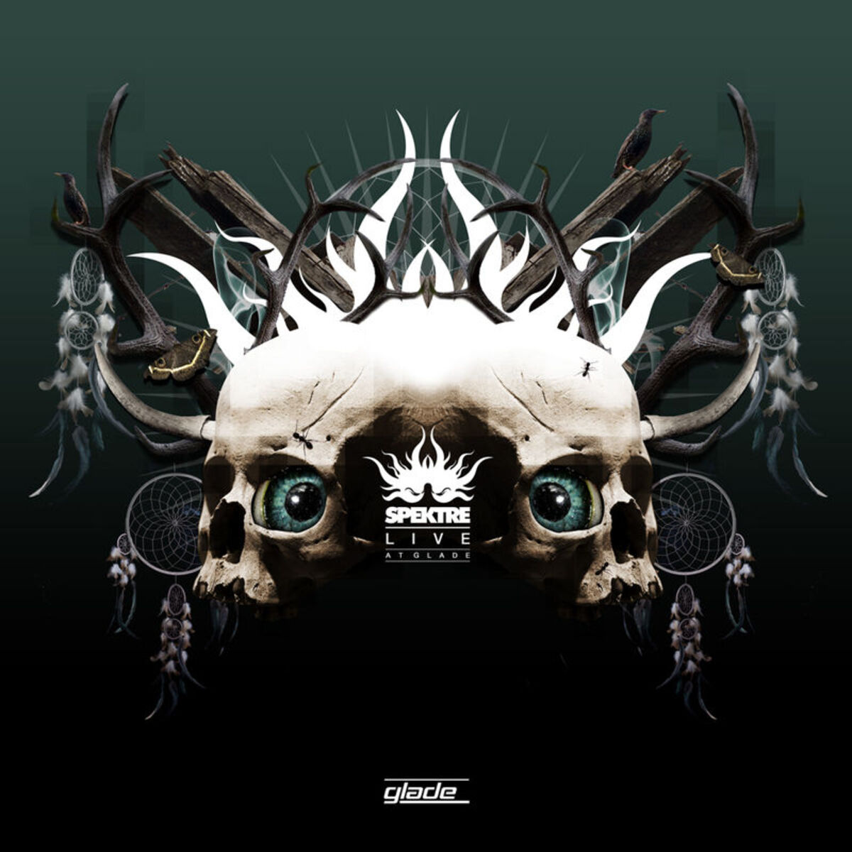 Album cover of Live At Glade