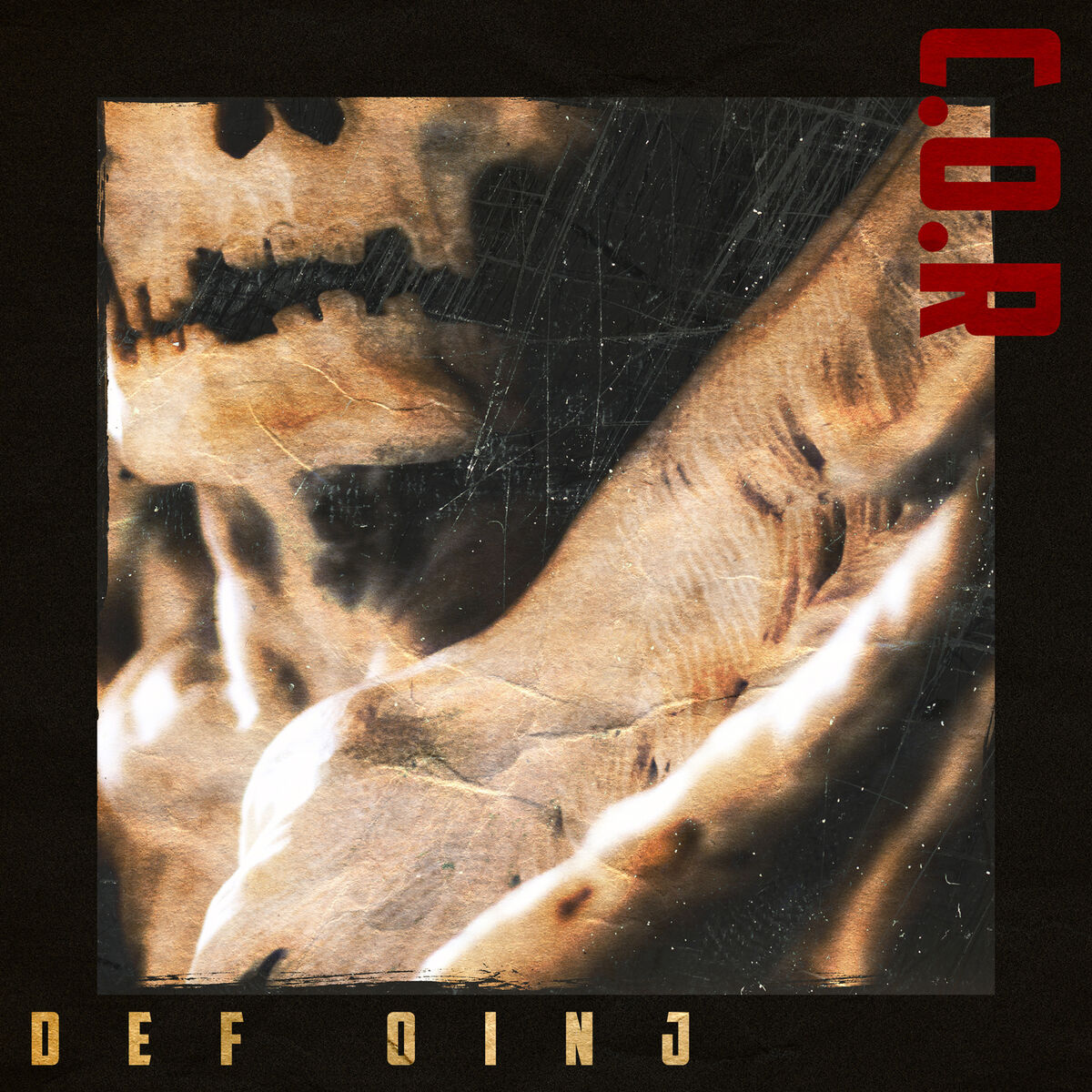 Album cover of Def Oinj