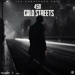 Cover of Cold Streets