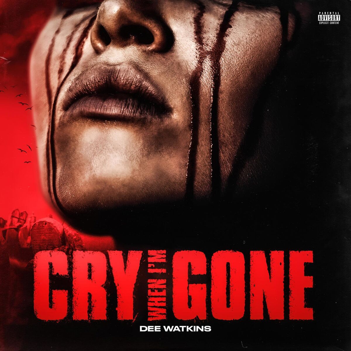 Album cover of Cry When I'm Gone