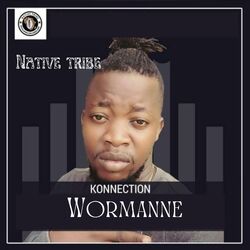 Cover of Wormanne