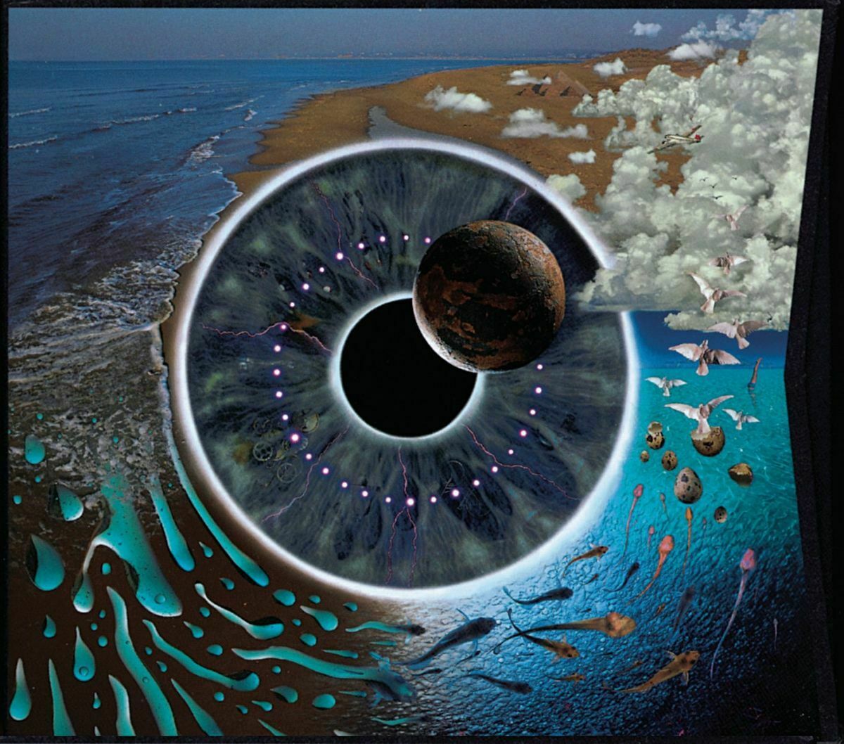 Album cover of Shine On You Crazy Diamond