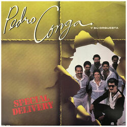 Cover of Special Delivery