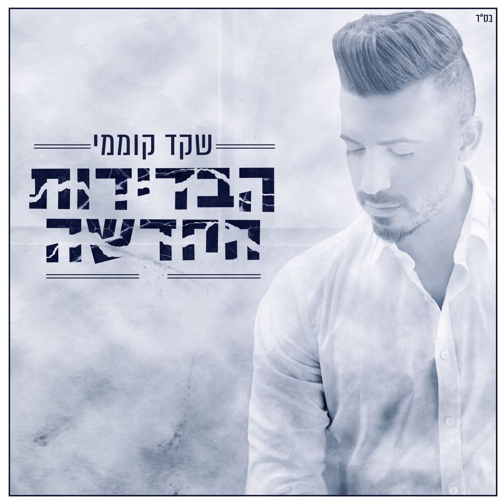 Picture of הבדידות החדשה
