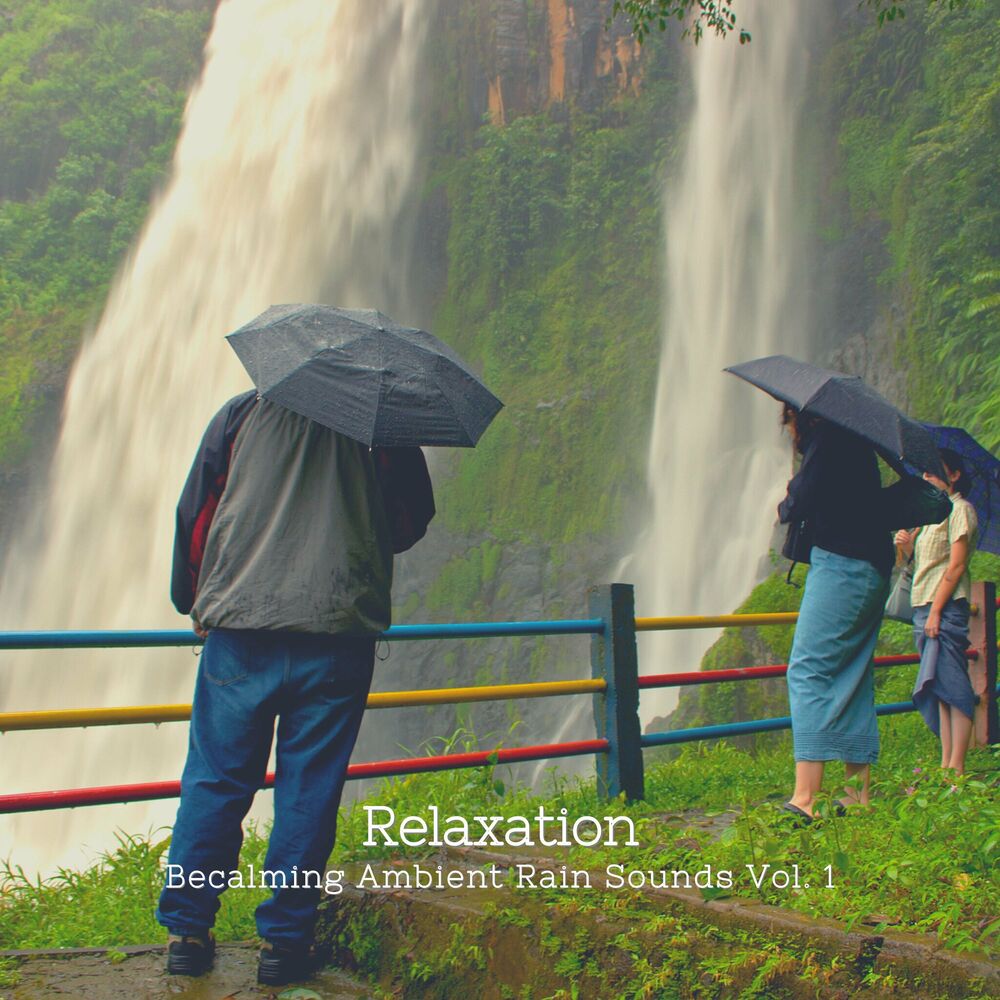 Picture of Relaxation: Becalming Ambient Rain Sounds Vol. 1