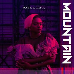 Cover of Mountain