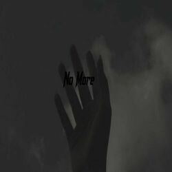 Cover of No More