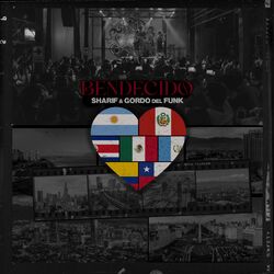 Cover of Bendecido