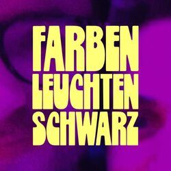 Cover of Farben Leuchten Schwarz