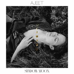 Cover of Shadow Moon