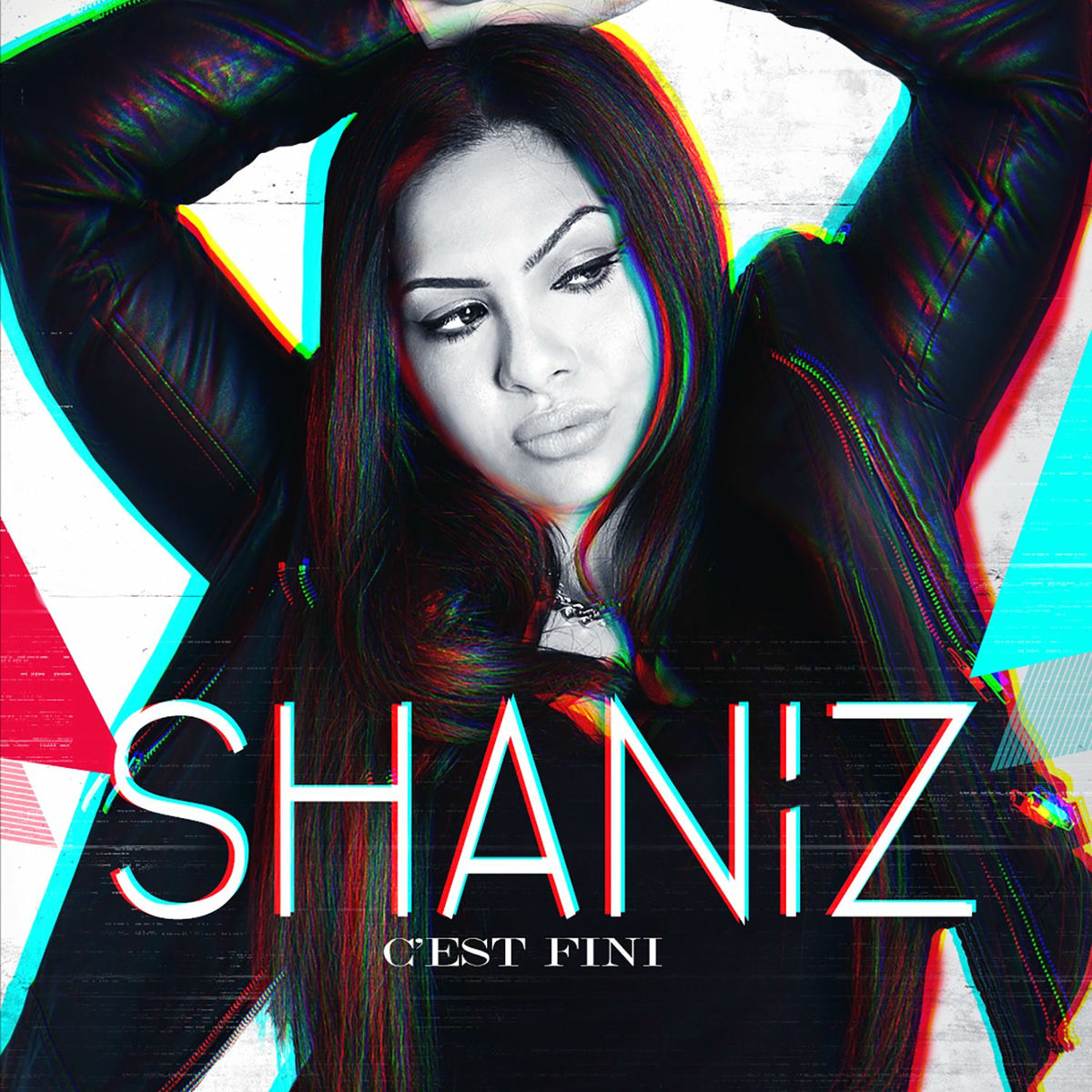 Album cover of C'est fini