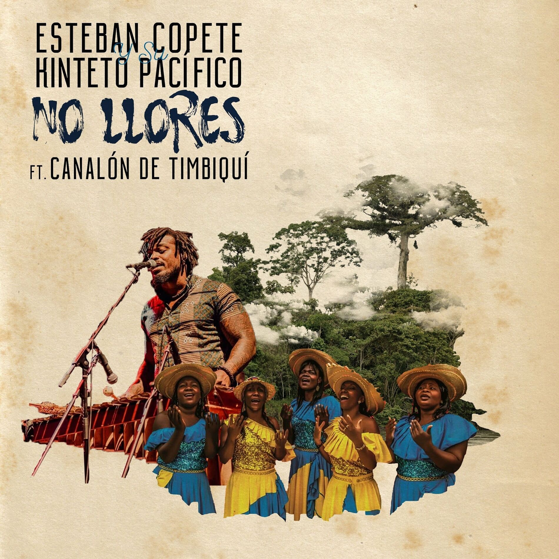 Album cover of No Llores