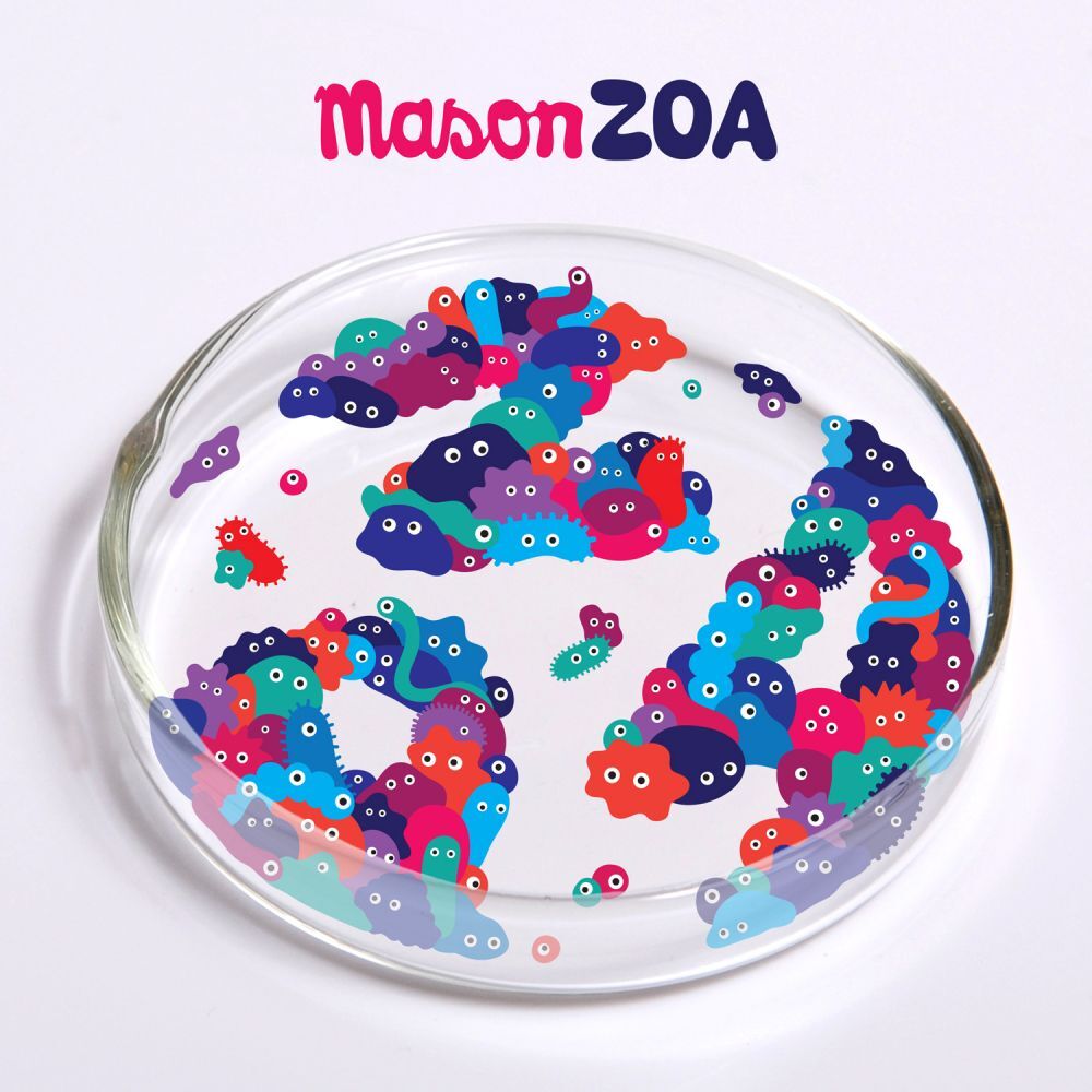 Picture of ZOA
