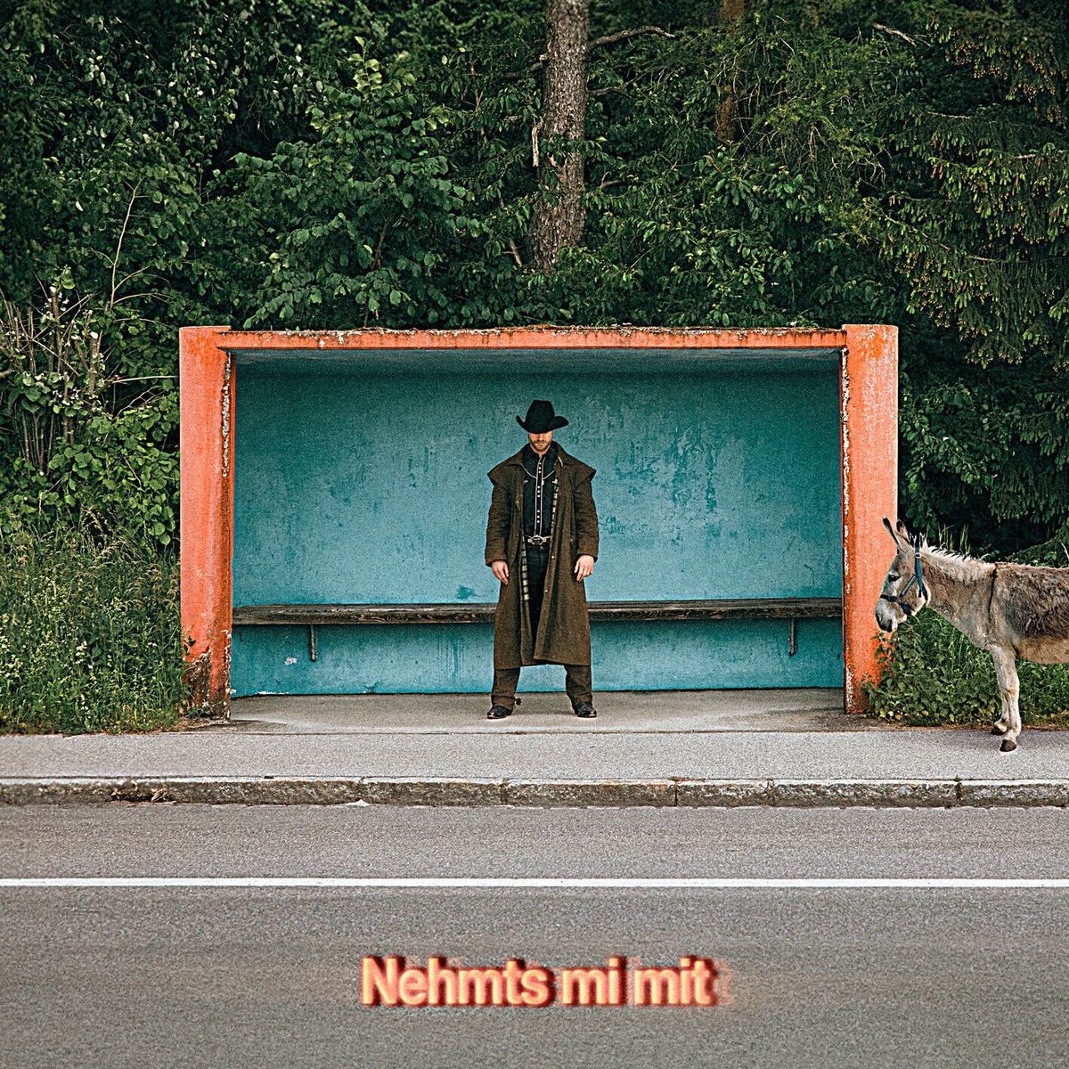 Album cover of Nehmts mi mit