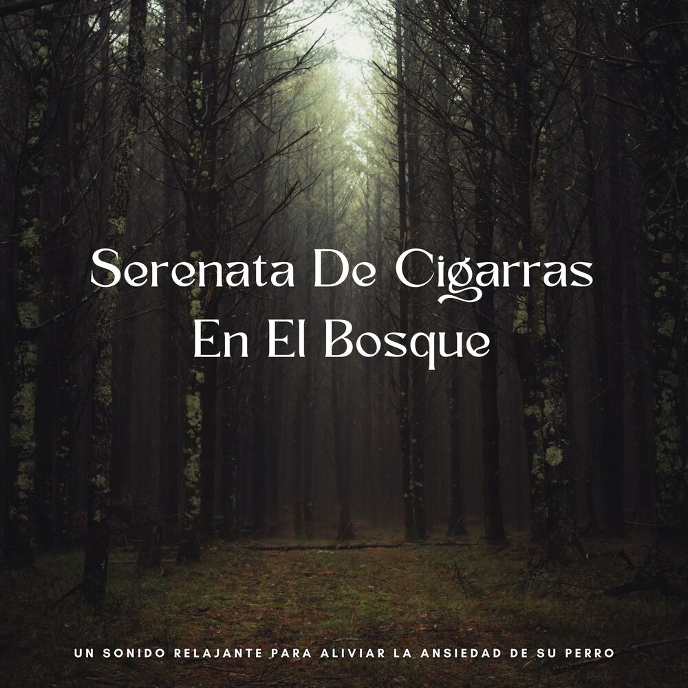 Picture of Serenata De Cigarras En El Bosque: Un Sonido Relajante Para Aliviar La Ansiedad De Su Perro