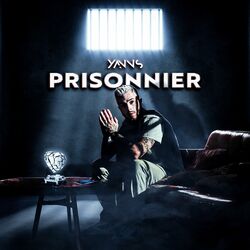 Cover of Prisonnier