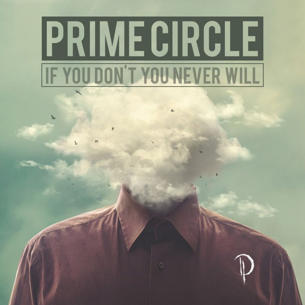 Album cover of If You Don't You Never Will