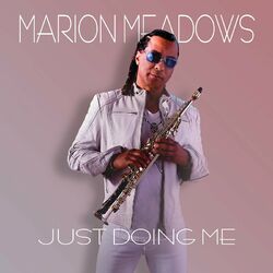 Cover of Just Doing Me