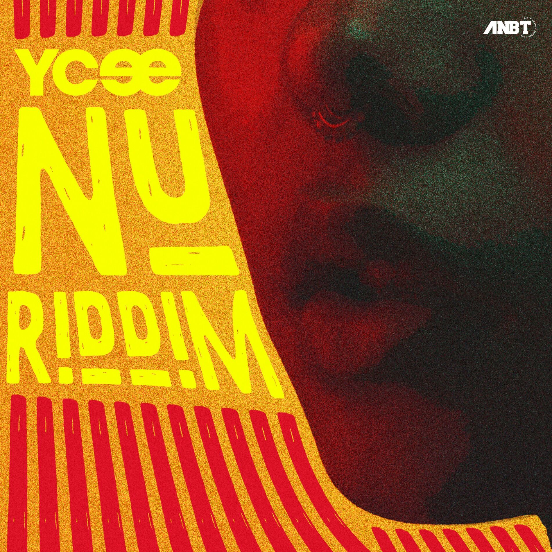 Album cover of Nu Riddim