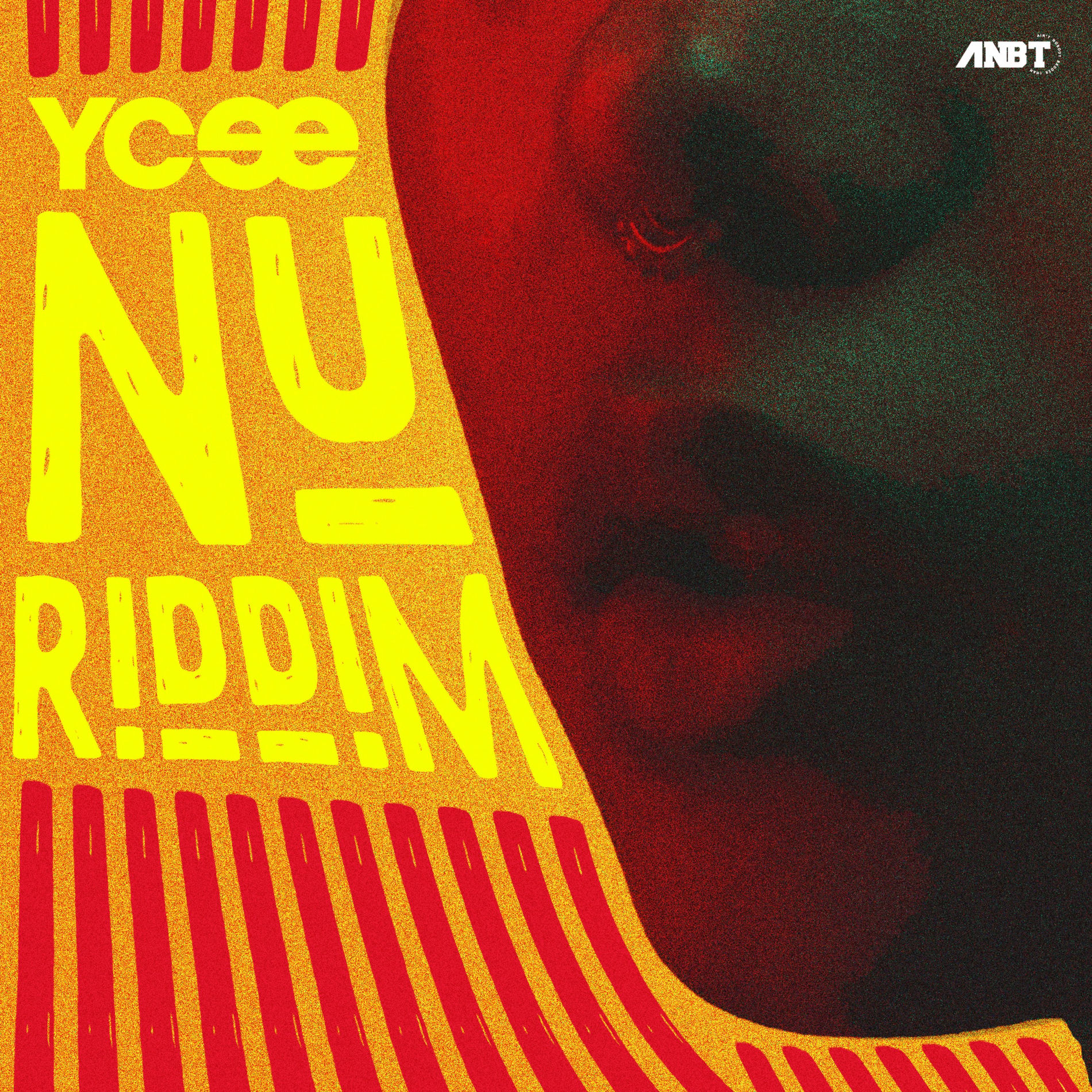 Album cover of Nu Riddim