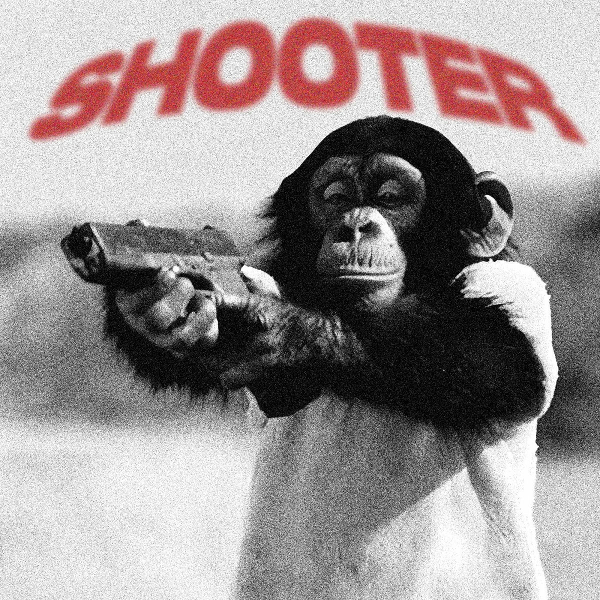 Album cover of Shooter