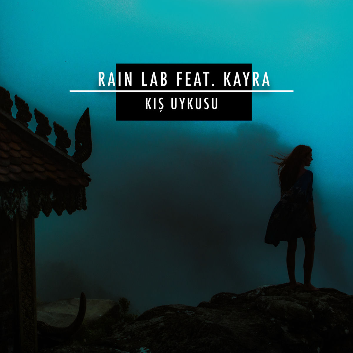 Album cover of Kış Uykusu