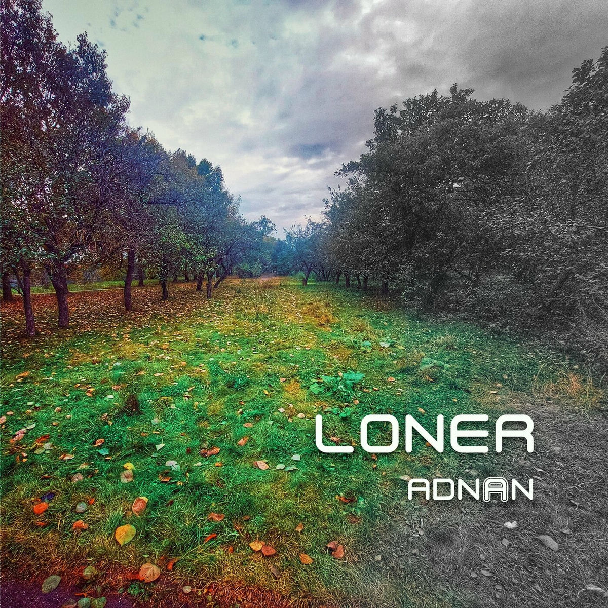 Album picture of Loner