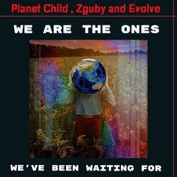 Cover of We Are the Ones We've Been Waiting For